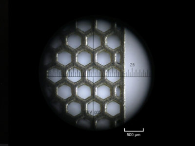 microscope view